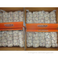 /msite/products/detail/productid/57040176/id/573198.html